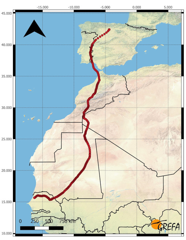 Recorrido de "Abarca" durante su migración. Mapa: Beatriz Rodríguez.