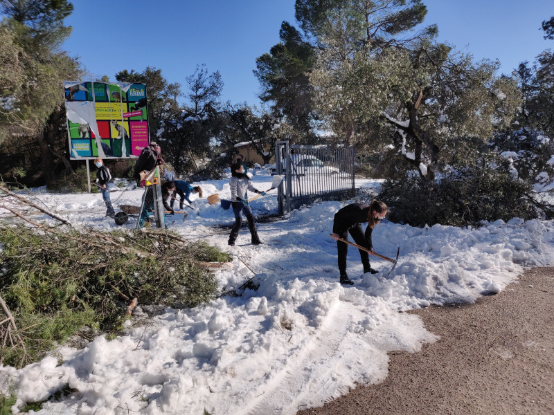Voluntarias limpian de nieve una de las entradas al hospital de fauna de GREFA.