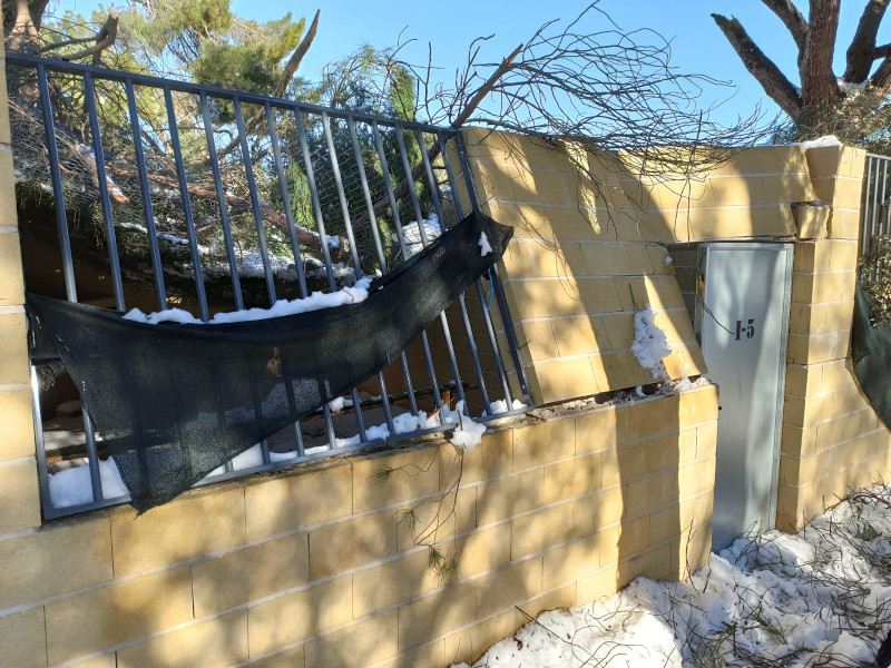 Damage from falling trees in an imperial eagle captive breeding enclosure.