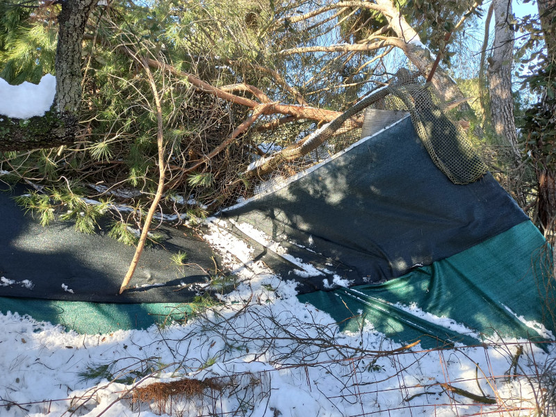 Damage from falling trees and snow accumulation at an environmental education facility dedicated to steppe birds.