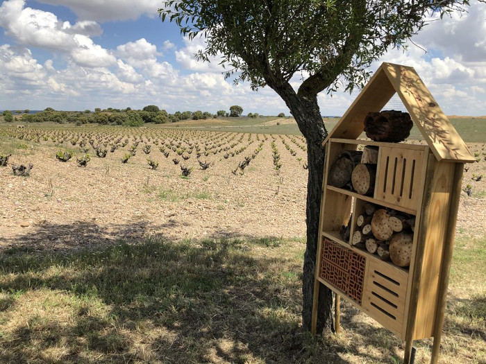 "Hotel de insectos" colocado junto al viñedo.