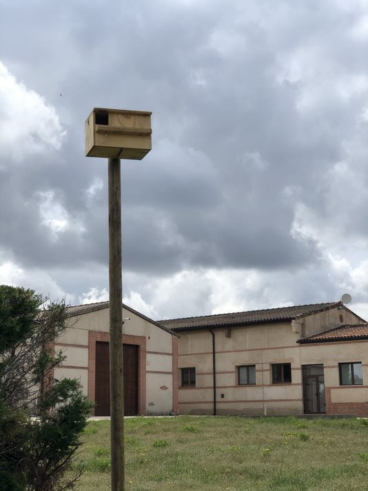 Caja nido para lechuza instalada en el entorno de la bodega.