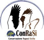 Life ConRaSi