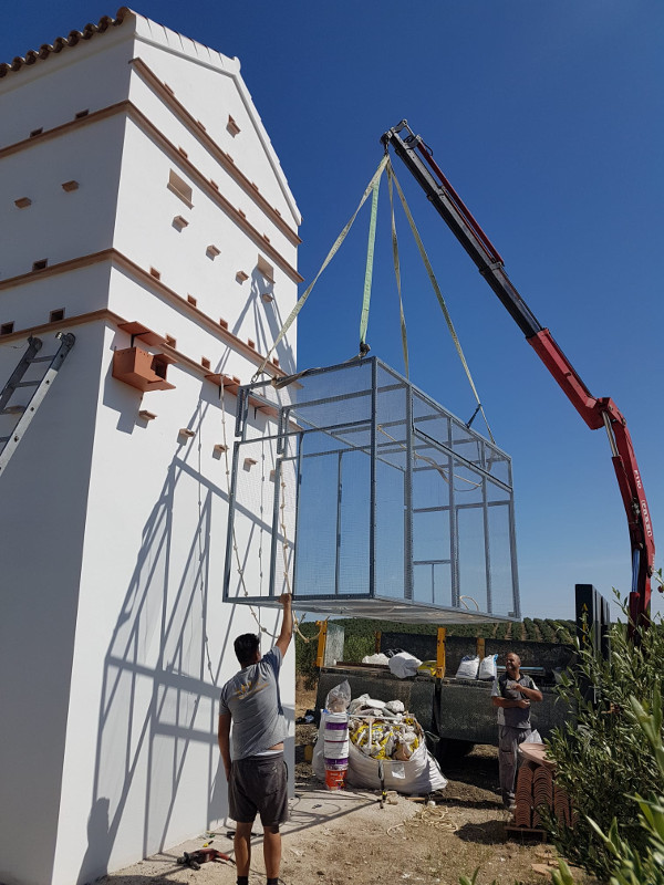 Proceso de colocación del voladero para cernícalo primilla en el primillar. Foto: Miguel Ángel Gómez.