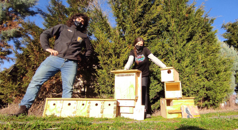 Un equipo de GREFA con los nidales destinados a la finca "La Labranza", en Navas de Oro (Segovia).