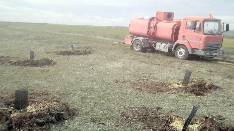 Un camión municipal de bomberos permitió el riego de la planta utilizada en esta reforestación popular.