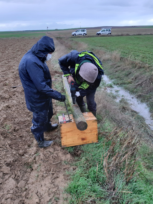 Dos trabajadores de GREFA reponen una caja nido de lechuza.