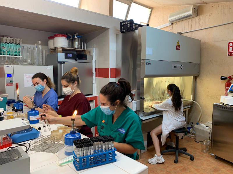 Voluntarias en el laboratorio del hospital de fauna de GREFA.