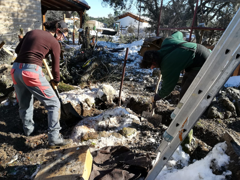 Una voluntaria y un trabajador de GREFA retiran nieve del temporal "Filomena" en el área de educación ambiental de GREFA.