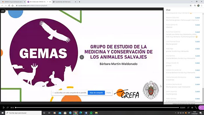 Captura de pantalla de la presentación del seminario online dedicado al Grupo de Estudio de la Medicina y Conservación de los Animales Salvajes (GEMAS).