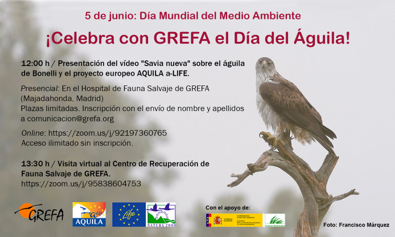5 de junio: celebraremos el Día del Águila desde el Hospital de Fauna Salvaje de GREFA