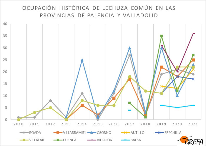 ocupación de las cajas nido para lechuza común