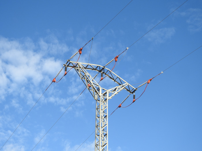 Apoyo en Pimiango (Asturias), con medidas que evitarán la electrocución de pigargos y otras muchas especies de aves, gracias a la colaboración entre el Proyecto Pigargo y EDP.