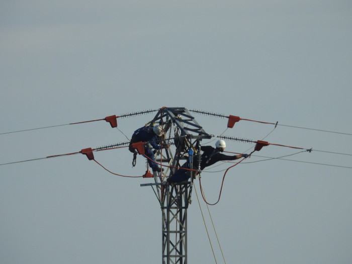 Unos operarios corrigen un tendido eléctrico para evitar electrocuciones de aves en la zona de liberación de los pigargos.