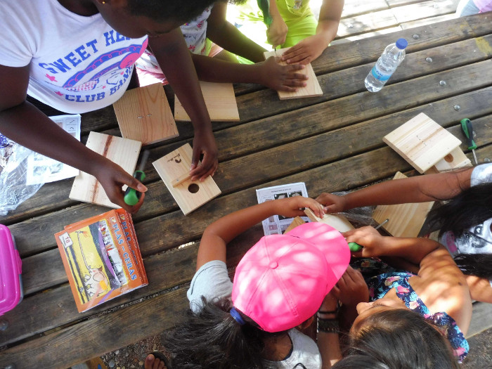 Varios niños montan cajas nido para aves insectívoras en un taller del campamento de verano de GREFA.