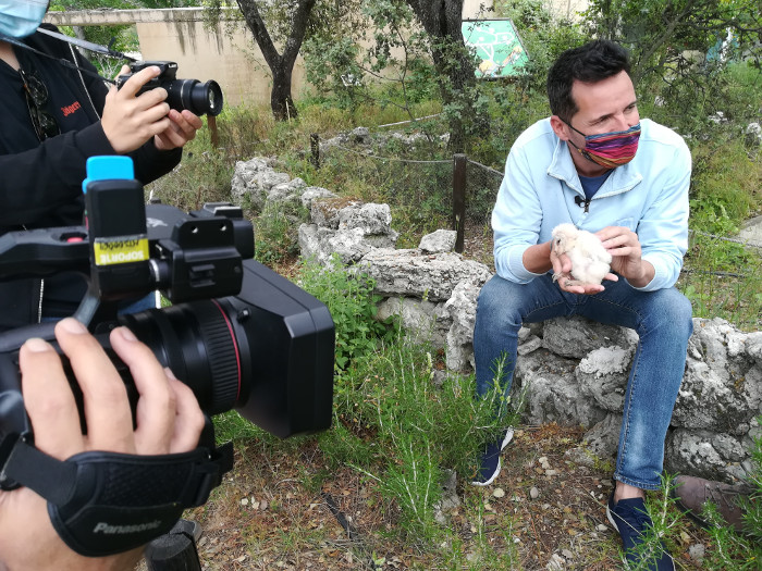 Juan Pablo Carpintero, del programa Aquí la Tierra, de RTVE, con un pollo de lechuza durante una grabación en GREFA.