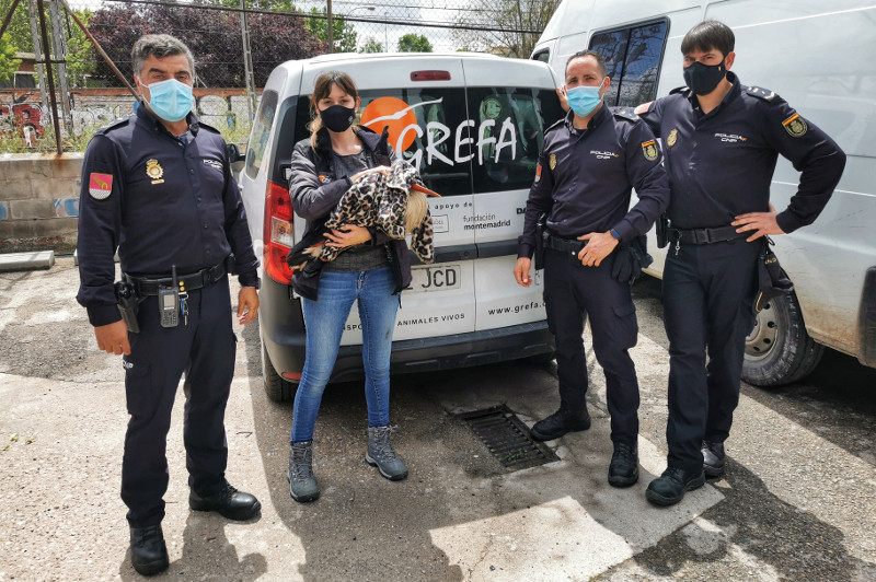 El Equipo de Rescate de GREFA junto a la Policía de Alcalá de Henares (Madrid) tras una intervención con una cigüeña herida.