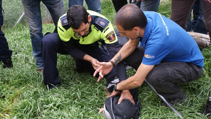 Formación de Agentes de los Cuerpos y Fuerzas de Seguridad, una de las partes más importantes del proyecto.