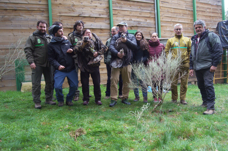 Foto de grupo de participantes en el operativo destinado a introducir en el jaulón de aclimatación a los buitres negros traslocados a la Sierra de la Demanda.