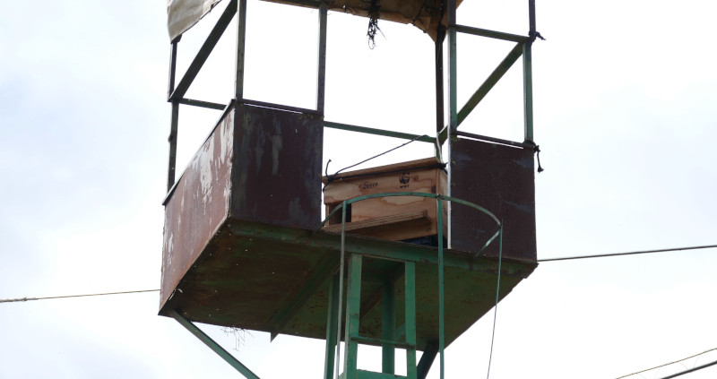 Caja nido para lechuza instalada por GREFA en una torre eléctrica fuera de uso.