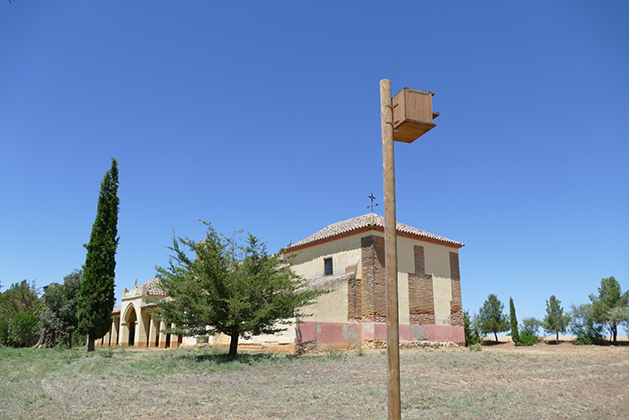 Caja nido para lechuza colocada en las cercanías de la ermita de San Bernardino (Cuenca de Campos, Valladolid).