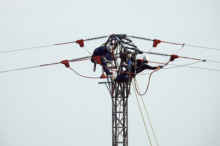 Dos operarios corrigen el apoyo de un tendido eléctrico en el entorno de la zona de liberación de los pigargos