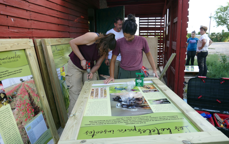 Dos voluntarias montan uno de los carteles sobre su bastidor.