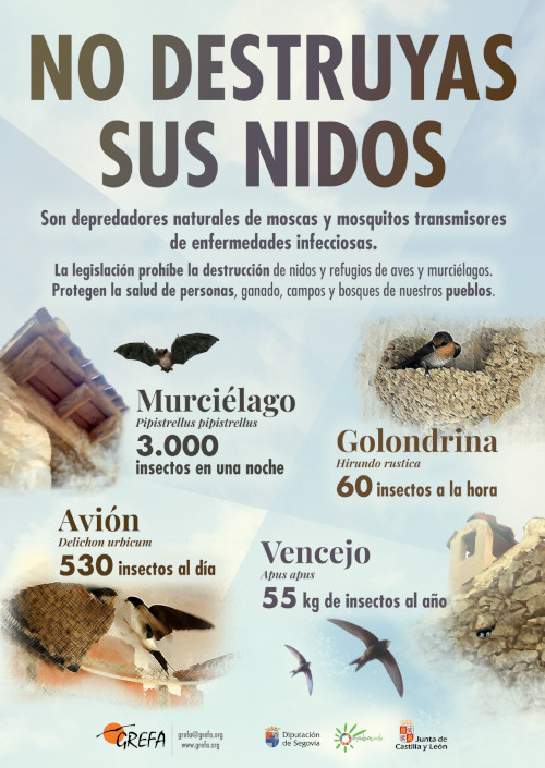 Cartel explicativo donde se muestran los beneficios que ofrecen las especies insectívoras.