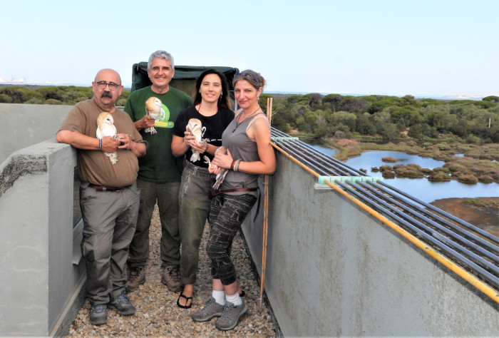 Componentes de GREFA y del proyecto Symia con cuatro de las lechuzas destinadas al "hacking". Foto: Nacho Morales