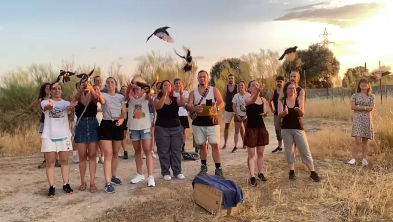 Liberación de urracas por un grupo de voluntarios de GREFA.