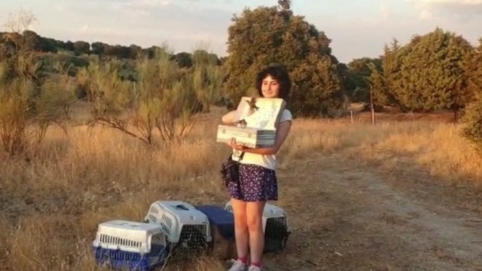 Liberación de gorriones por la voluntaria más joven que ha participado este año en la de la campaña de huérfanos de GREFA.