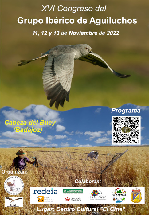 Cartel del XVI Congreso Ibérico de Aguiluchos organizado por ANSER (Asociación Naturalista de Amigos de La Serena) y el GEA (Grupo Extremeño de Aguiluchos).