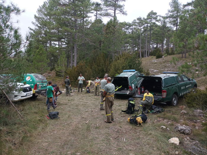 Preparativos entre los equipos de GREFA, Parque Natural de Els Ports y Agents Rurals de Catalunya para la construcción de los nidos artificiales de buitre negro.