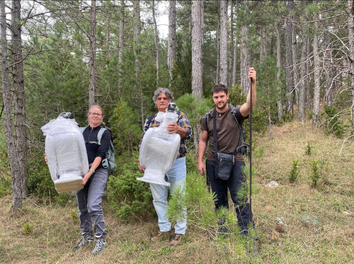 Equipo de GREFA con los señuelos de buitre negro destinados a la nueva zona de reintroducción del buitre negro en Els Ports.