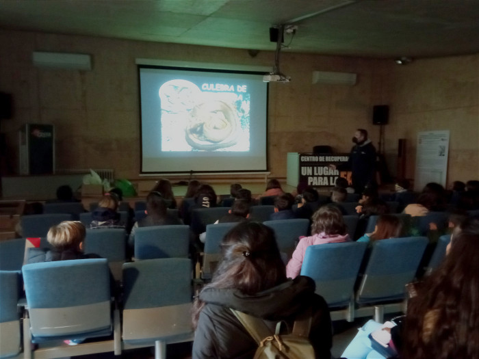 Los escolares en el auditorio de GREFA durante su visita a nuestro centro.