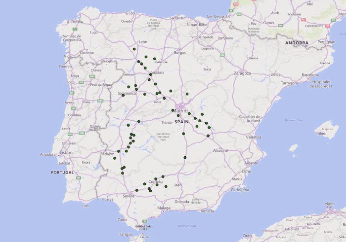 Mapa colonias de cernícalo primilla