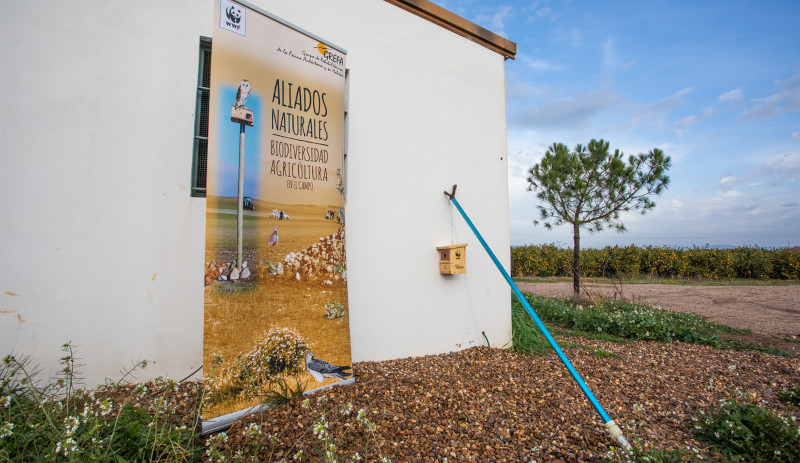 Cartel de la campaña conjunta entre WWF España y GREFA en favor de la fauna aliada de la agricultura, en una de las finca en las que colaboramos, en Brenes (Sevilla). Foto: Jesús Quintano Sánchez.