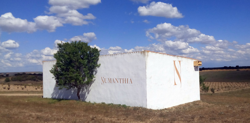 Cuarto de aperos de Bodegas Numanthia con una caja nido de lechuza colocada en una de sus paredes.