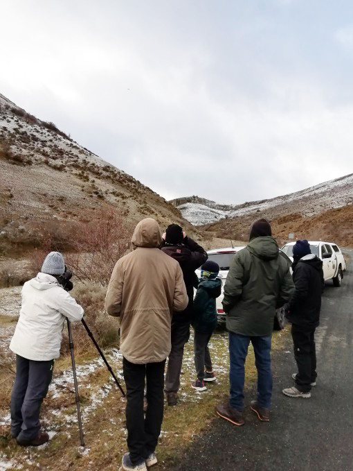 Observación en el campo durante las jornadas de Canales de la Sierra.