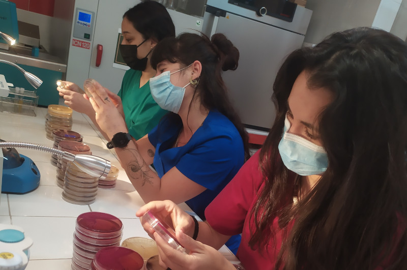 Voluntarias del laboratorio de GREFA analizan las resistencias antimicrobianas obtenidas.
