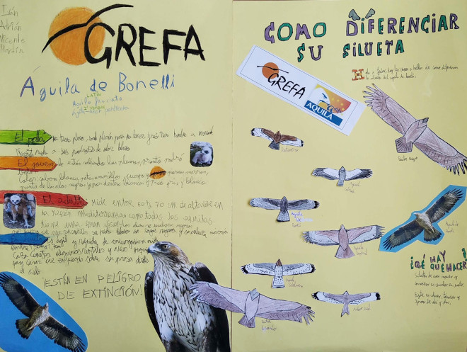 Uno de los murales sobre el águila de Bonelli hecho por alumnos de Primaria del colegio CEIP "San Lucas" (Villanueva del Pardillo, Madrid).