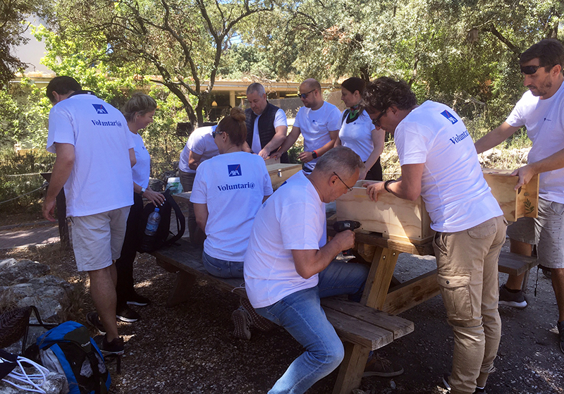 Empleados de AXA construyen cajas nido durante su voluntariado corporativo con GREFA.