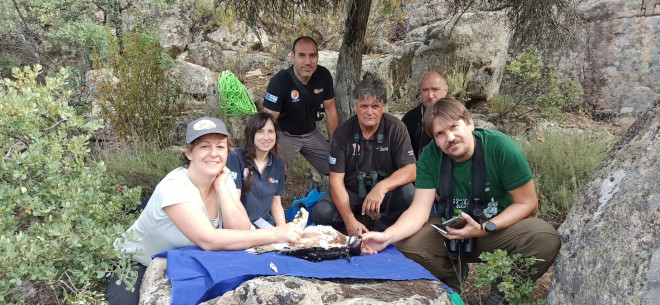 En primer plano, Simona Bacchereti (CINEA), a la izquierda, y Borja Domínguez (NEEMO), a la derecha, en compañía del equipo GREFA / AQUILA a-LIFE, durante el marcaje con GPS de uno de los pollos de águila de Bonelli nacidos en 2022 en la Comunidad de Madrid en su hábitat natural.