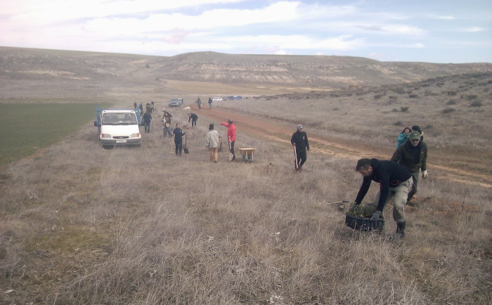 En la acción medioambiental en Campo de San Pedro participaron un total de 35 voluntarios.