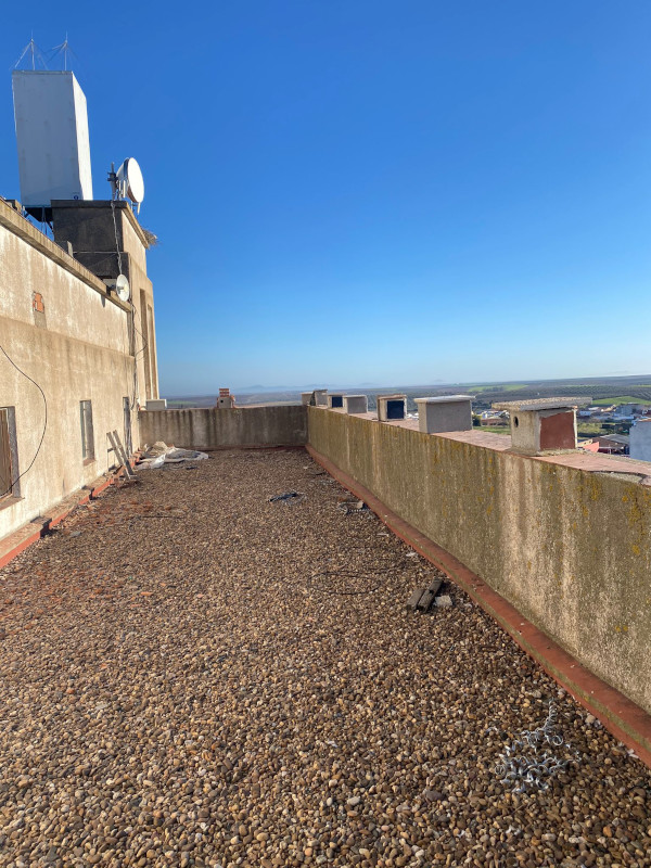 Batería de nidales en el silo de Santa Marta de los Barros (Badajoz), tras el operativo de limpieza de GREFA.