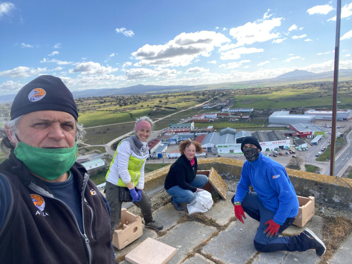 El equipo de GREFA se fotografía desde el macrosilo de Trujillo tras una ardua jornada de limpieza.