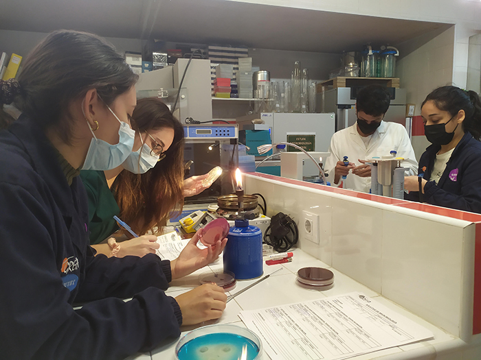 Varios voluntarios trabajan en el laboratorio de GREFA.