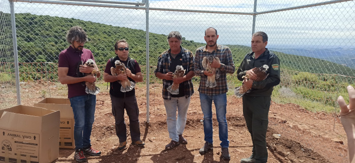 Participantes en la acción, con los cinco pollos de águila de Bonelli trasladados a la Sierra de Guara, dentro del jaulón de aclimatación. De izquierda a derecha, Diego Domínguez (Repsol), Manuel Alcántara (jefe de servicio de Biodiversidad del Gobierno de Aragón), Ernesto Álvarez (presidente de GREFA), Diego Bayona (director general de Medio Natural y Gestión Forestal del Gobierno de Aragón) y Agente de Protección de la Naturaleza de Aragón.