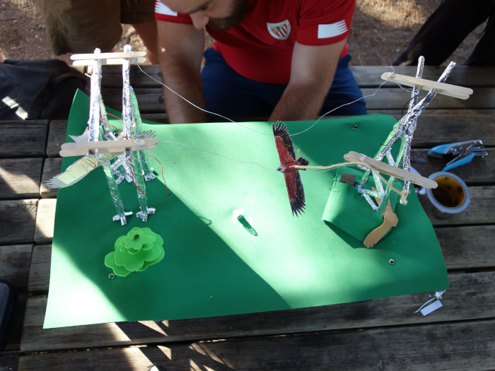 El seguimiento por GPS de las aves migratorias y la construcción de maquetas con las que ilustrar amenazas sobre las aves como la de los tendidos eléctricos (en la fotografía) son ejemplos de la metodología STEAM que aplicamos en el nuevo proyecto.