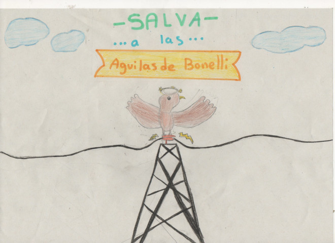 Uno de los dibujos presentados a la muestra de trabajos y dibujos artísticos sobre el águila de Bonelli impulsada por AQUILA a-LIFE.